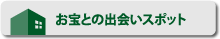 お宝との出会いスポット