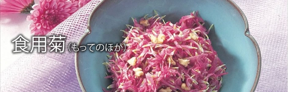 食用菊（もってのほか）