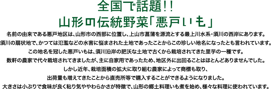 全国で話題!!山形の伝統野菜「悪戸いも」