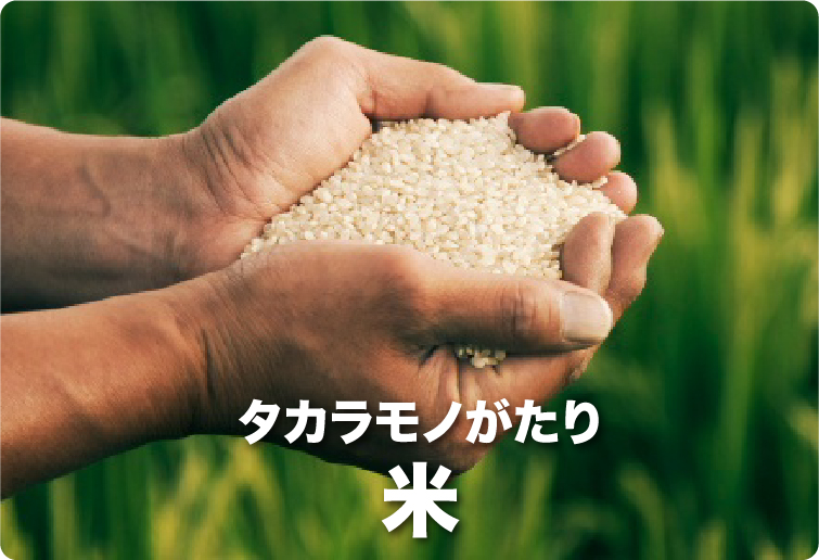 タカラモノがたり 米